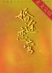 婚途璀璨漫画